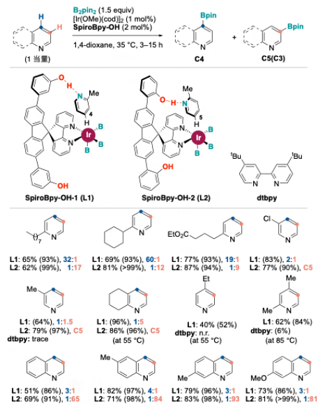 SpiroBpy-OH配位子を持つIr触媒によるピリジン類の選択的ホウ素化反応の図