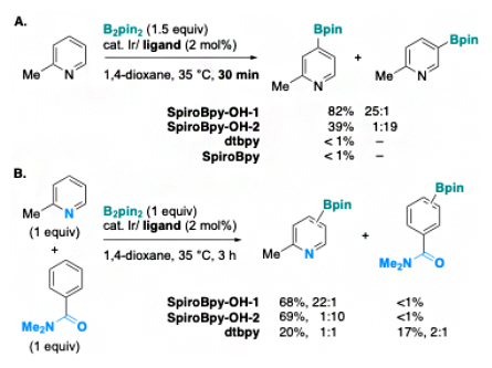 SpiroBpy-OH配位子を持つIr触媒による反応加速と基質特異性の図
