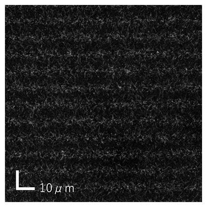 共焦点レーザー顕微鏡で撮影した格子の透過中性子イメージの図