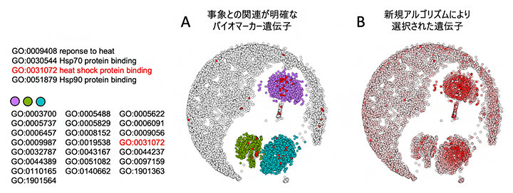 遺伝子に関するオミクスデータで構築するバイオセンサーの図