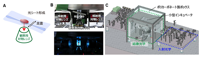 開発した光シート顕微鏡の図