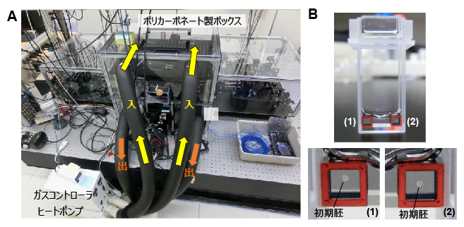 顕微鏡を覆う培養インキュベータシステムの図