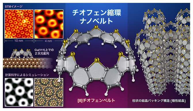 本研究で開発したチオフェン縮環ナノベルトの図