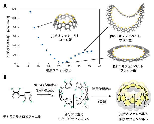 チオフェンベルトのひずみエネルギーと合成の図