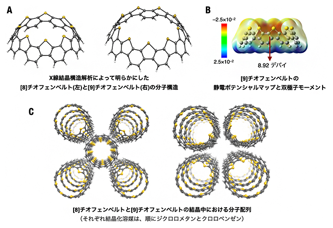 チオフェンベルトの構造的特徴の図