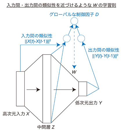 本研究で開発した非線形次元削減の神経回路モデルの図