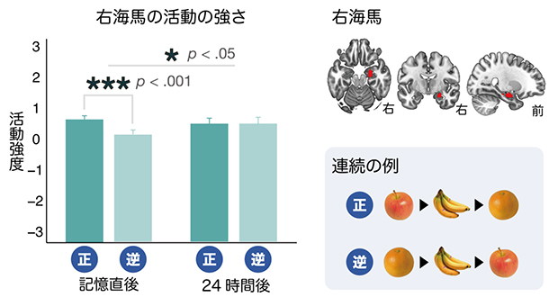 fMRI実験の結果の図