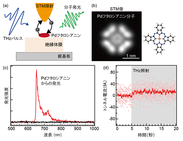 THz-光STMを用いた単一分子発光測定の図