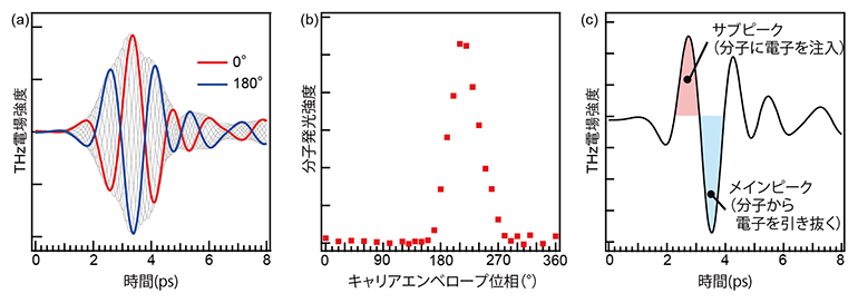 THzパルスの波形制御と励起子形成メカニズムの解明の図