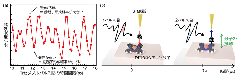 THzダブルパルスによる励起子形成の制御の図