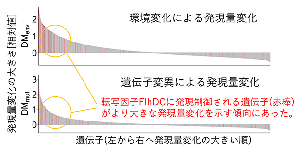 発現量変化の大きな遺伝子を制御する転写因子（TRcom）の図