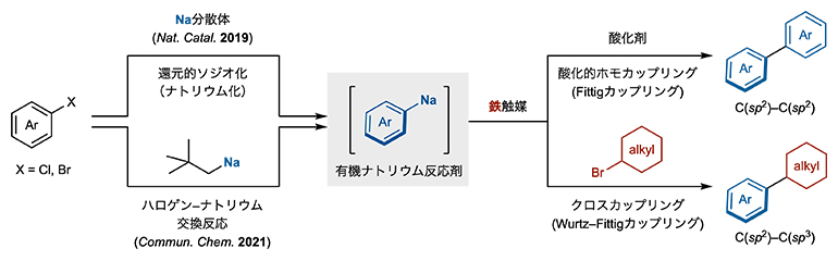 鉄（Fe）触媒による有機ナトリウム（Na）反応剤を用いたカップリング反応の図
