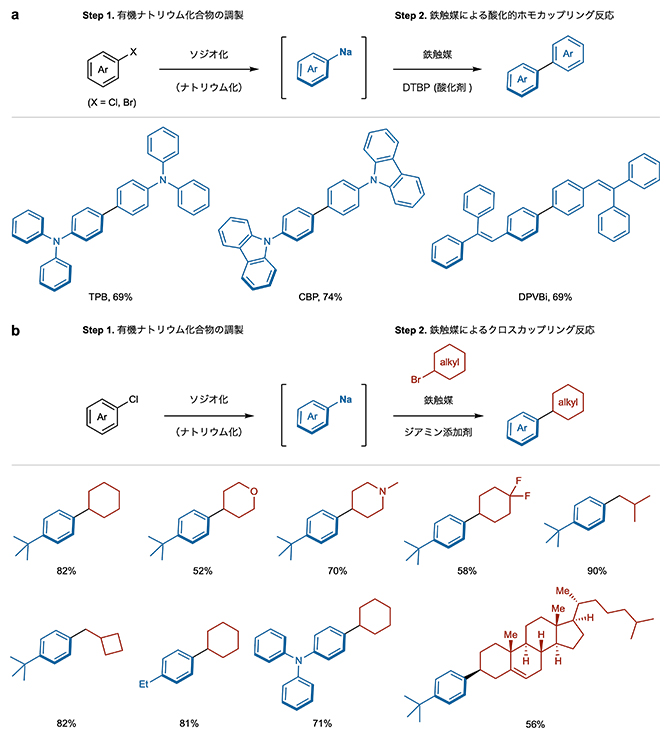 鉄触媒によって達成された酸化的ホモカップリング反応とクロスカップリング反応の図
