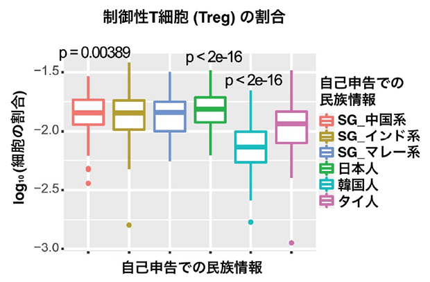 制御性T細胞（Treg）と自己申告の民族情報との相関の図
