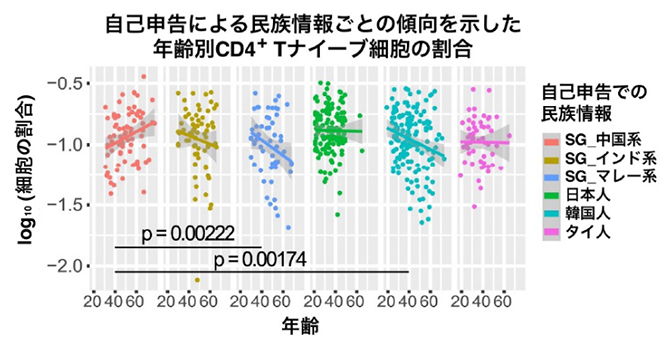 CD4+ Tナイーブ細胞と自己申告の民族情報・年齢との相関の図