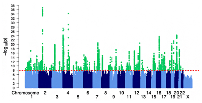 変形性関節症の国際メタ解析の結果の図