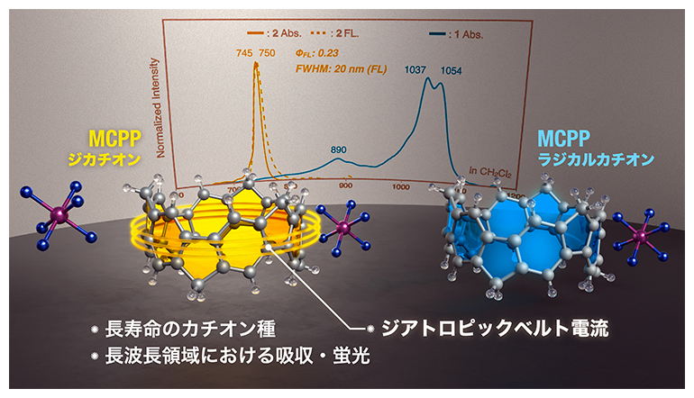 本研究で開発したカチオン性炭化水素ナノベルト（MCPPカチオン）の図