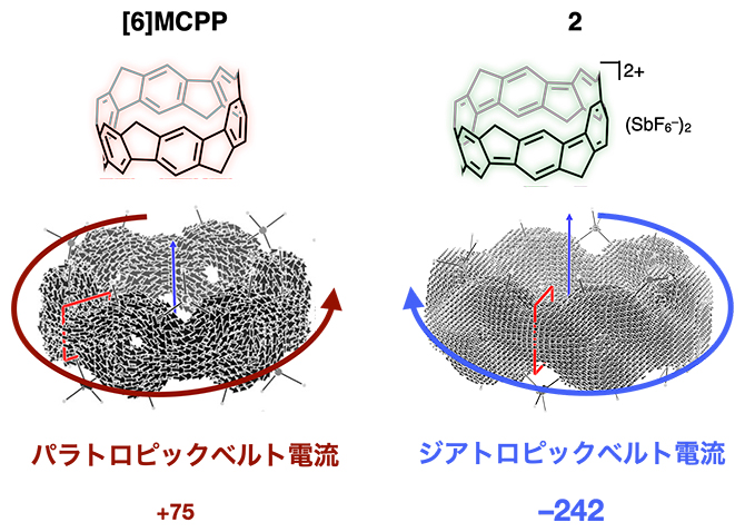 [6]MCPPのパラトロピックベルト電流と化合物2のジアトロピックベルト電流の図
