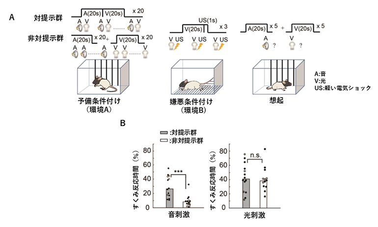 感性予備条件付けの図