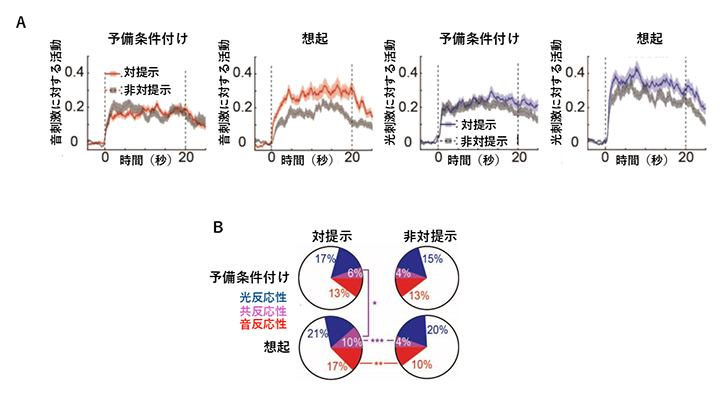 dmPFC神経細胞の活動の変化の図