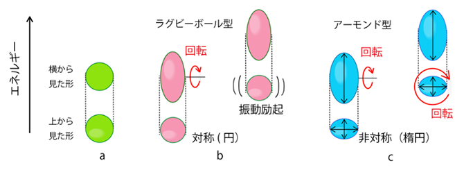 従来のラグビーボール型の原子核（b）と本研究成果のアーモンド型の原子核（c）の図