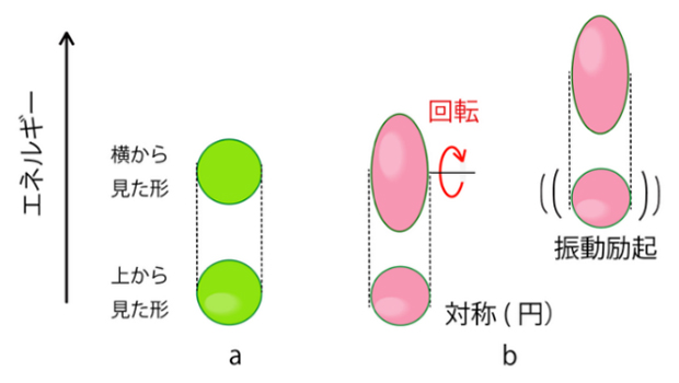 原子核の形・振動・回転の伝統的な描像の図