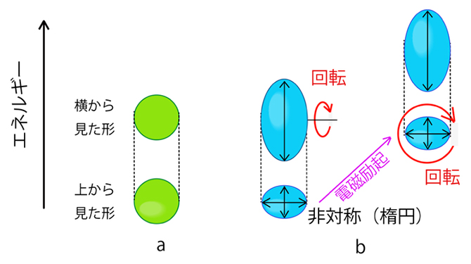 原子核の形・回転の本研究による描像の図