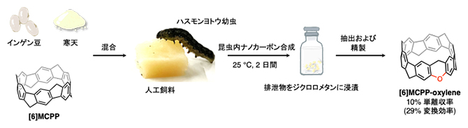 ハスモンヨトウ幼虫による昆虫内ナノカーボン合成の図