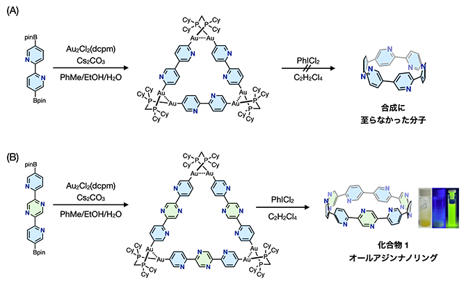 オールアジンナノリングの合成の図