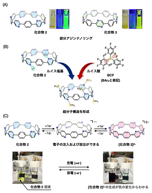 部分アジンナノリングである化合物2および化合物3の構造と性質の図