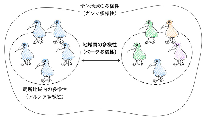 ベータ多様性の概念図の画像