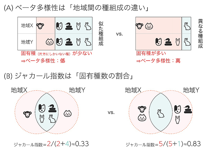 空間的生物多様性（ベータ多様性）の概要の図