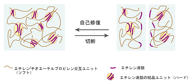図2 新しい機能性ポリマーのナノ相分離構造の模式図と自己修復のメカニズムの図