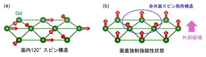 GdCu2のひずんだ三角格子とスピン構造の模式図の画像