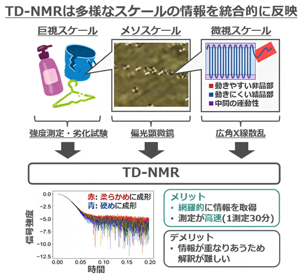 材料のマクロ～ミクロの多様な運動性情報を読み取るTD-NMRの図