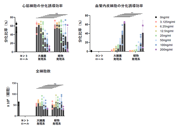 植物発現VEGFおよび大腸菌発現VEGFを用いた心筋細胞分化誘導効率の比較の図