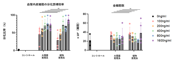 植物発現VEGFおよび大腸菌発現VEGFを用いた内皮細胞分化誘導効率の比較の図