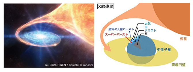 中性子星の表面で発生するスーパーバーストの（左）想像図と（右）模式図の画像