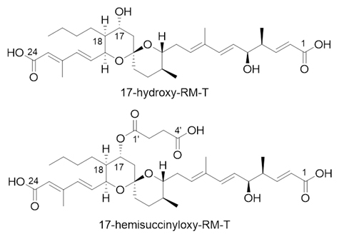 二つの新規RM誘導体の構造の図