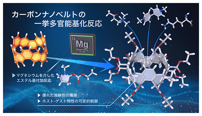 本研究で開発したカーボンナノベルトの一挙多官能基化反応の図