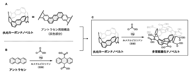 新たに開発したカーボンナノベルトの多官能基化反応の図