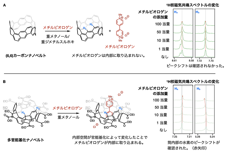 官能基化前後でのホスト－ゲスト特性の変化の図