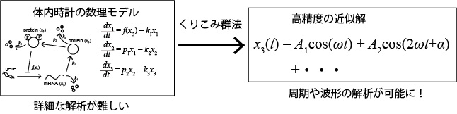 くりこみ群法による数理モデルの解析の図