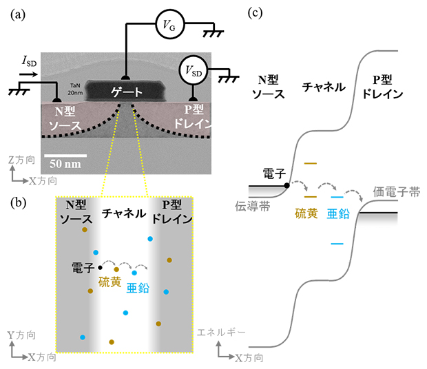 トランジスタ素子とそのトンネル伝導の模式図の画像