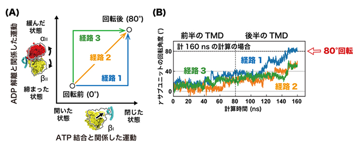 ターゲットMDによる80度サブステップ回転の構造変化経路の探索の図