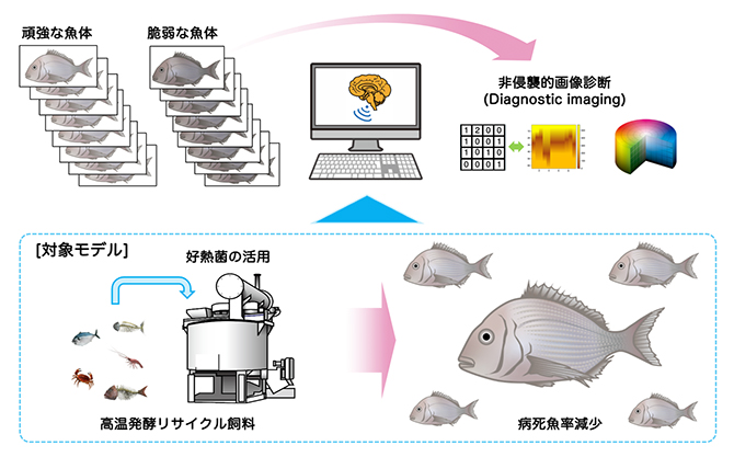 本研究の概要図