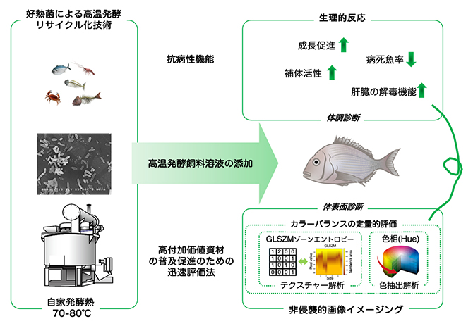 本研究におけるモデル評価のまとめの図
