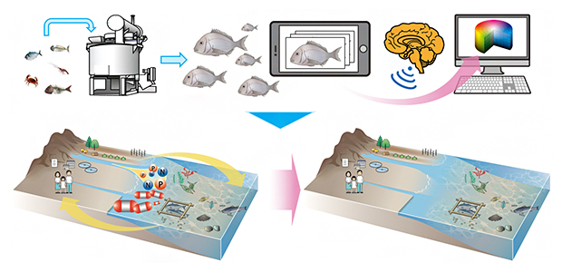 本開発技術が持続可能型社会に果たす役割と展望の図
