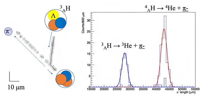 深層学習で検出したハイパー核の2体崩壊事象と飛程による同定解析の結果の図