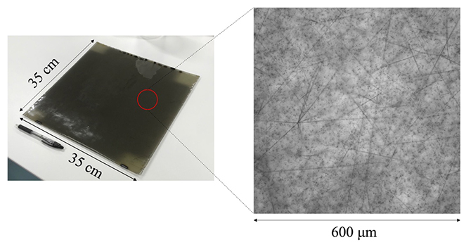 実験で使用した写真乾板（左）と光学顕微鏡で撮影した写真乾板の画像（右）の図